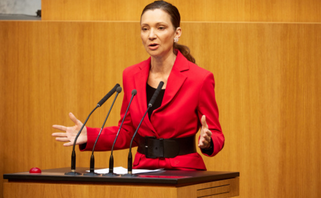FPÖ-Außenpolitiksprecherin Susanne Fürst im Hohen Haus.