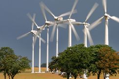 Der grüne deutsche Wirtschaftsminister Habeck will den Windkraftausbau in Naturschutzgebieten vorantreiben.