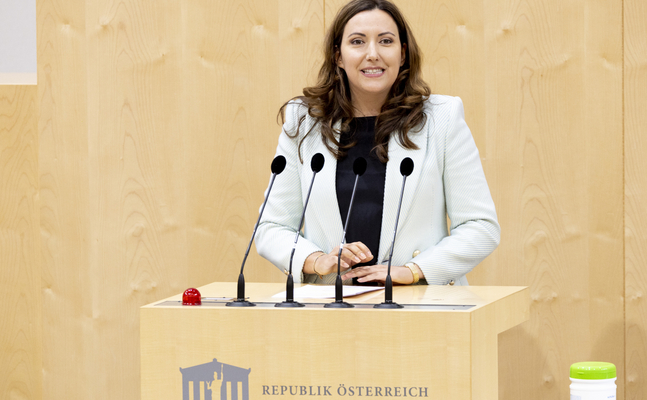 FPÖ-Europasprecherin Petra Steger im Hohen Haus.
