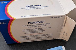 Verfügbare lebensrettende Medikamente gegen Covid wie Paxlovid werden gehortet, aber nicht eingesetzt, beklagt die FPÖ.
