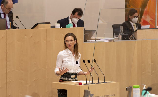 FPÖ-Verfassungssprecherin Susanne Fürst im Hohen Haus.