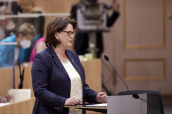 FPÖ-Familiensprecherin Edith Mühlberghuber im Parlament.