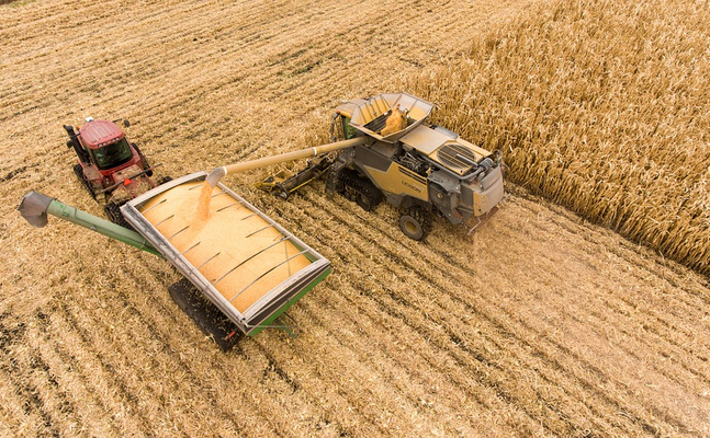 FPÖ schlägt Alarm: Landwirtschaftliche Selbstversorgung in Österreich vielfach nicht gesichert!
