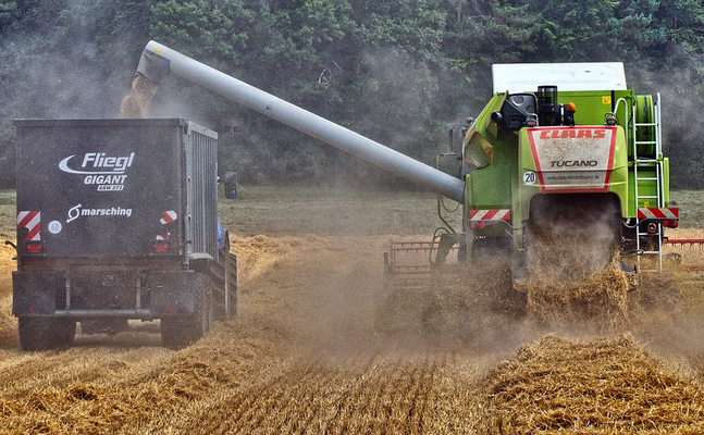 EU-Verordnung zur Wiederherstellung der Natur bedroht Europas Landwirte und damit die Lebensmittelversorgung.
