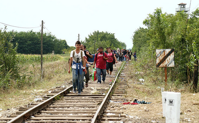 Neos beschweren sich bei der EU über Grenzkontrollen - FP-Sicherheitssprecher Jenewein: "Die Neos setzen die konsequente und sehr erfolgreiche Bekämpfung illegaler Migration nach Österreich leichtfertig aufs Spiel.“