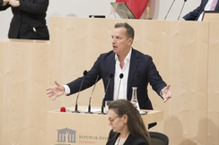 FPÖ-EU-Parlamentarier Georg Mayer im Nationalrat.