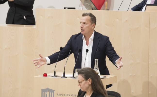 FPÖ-EU-Ageordneter Gerog Mayer im Parlament.