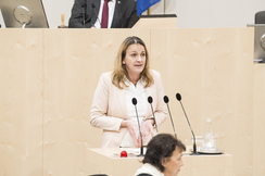 FPÖ-Sozialsprecherin Dagmar Belakowitsch im Nationalrat.