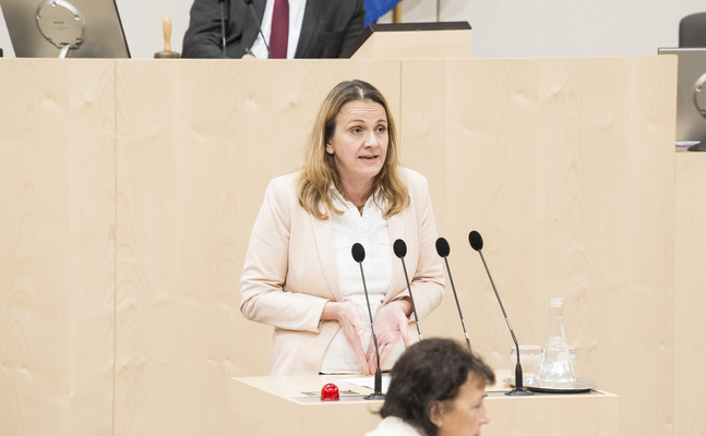 FPÖ-Sozialsprecherin Dagmar Belakowitsch im Nationalrat.