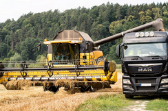 Getreideimporte aus der Ukraine werden von der EU weiterhin nicht mit Zöllen belegt - ein klarer Affront gegen unsere Bauern.