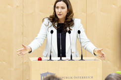 FPÖ-Sportsprecherin Petra Steger im Parlament.