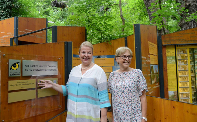 Gesundheitsministerin Beate Hartinger-Klein übernahm im Tiergarten Schönbrunn die Patenschaft über die Bienen, Direktorin Dagmar Schratter überreichte ihr eine Urkunde.