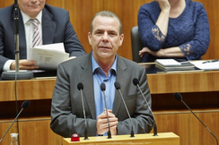 FPÖ-EU-Delegationsleiter Harald Vilimsky im Nationalrat.