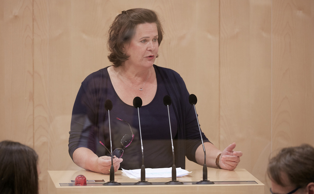 FPÖ-Familiensprecherin Edith Mühlberghuber im Nationalrat.