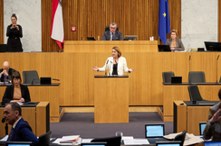 FPÖ-Sozialsprecherin Dagmar Belakowitsch im Parlament.