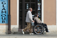 Pensionsanspruch für pflegende Angehörige ist überfällig - FPÖ-Seniorensprecherin Ecker zum Tag der Pflege: "Pflegende Angehörige gebührend unterstützen und entlasten."