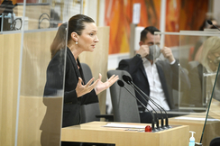 FPÖ-Verfassungssprecherin Susanne Fürst im Nationalrat.