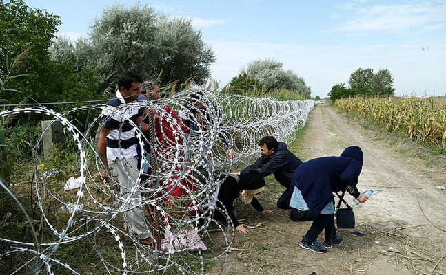 Zahl illegaler Grenzübertritte steigt stark an - FPÖ-Bundesparteiobmann Hofer: "100 Illegale an nur einem Tag im Burgenland - Bundesheer sperrt Grenze zu Tirol - Asylwerber kommen umgehindert nach Österreich."