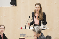 FPÖ-Menschenrechtssprecherin Susanne Fürst im Parlament.