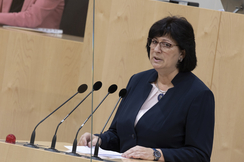 FPÖ-Frauensprecherin Rosa Ecker im Parlament.