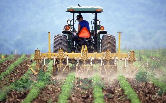 „Farm to Fork“ ist von Ideologie getriebener Großangriff auf Europas Bauern.